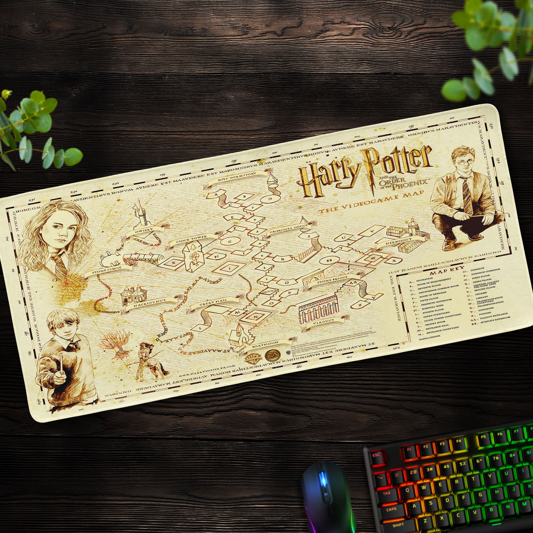 Harry Potter Video Game Map Desk Mat, Wizarding World Mouse Pad